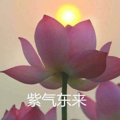 果盘风之大陆手游下载